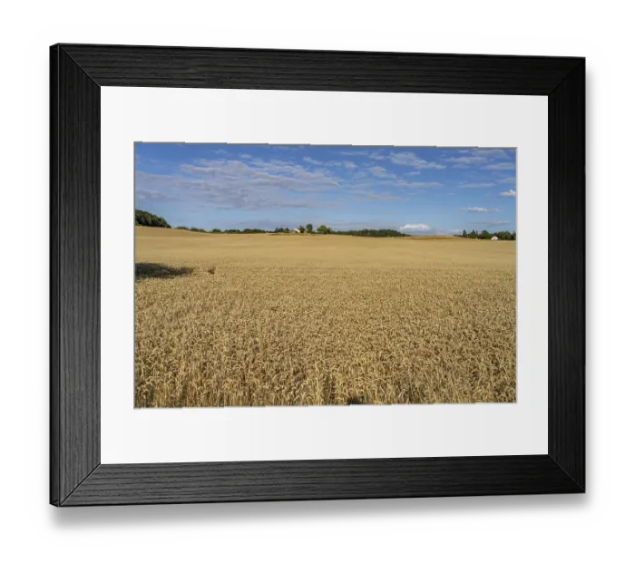 Framed Print : Landscape on the island of Moen, Denmark, Europe Framed Print : Landscape on the island of Moen, Denmark, Europe