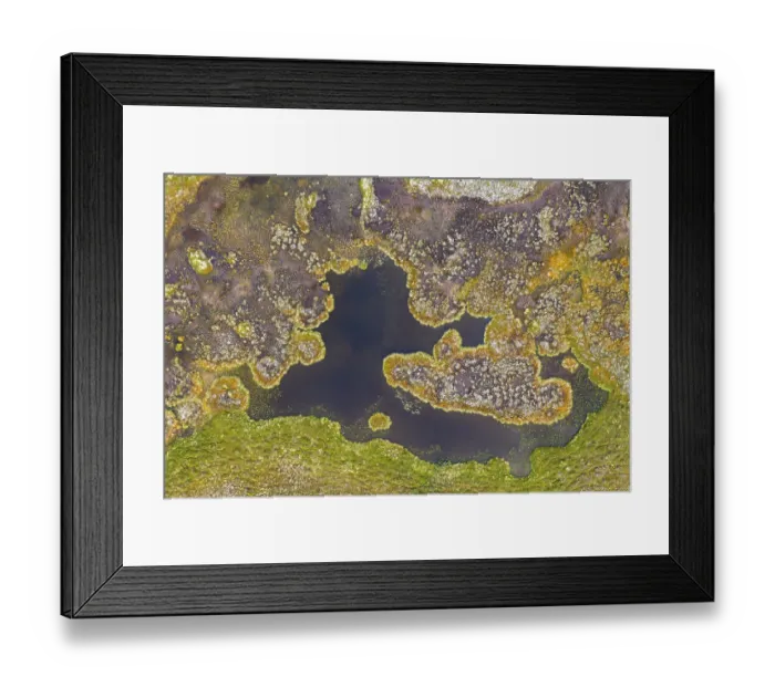 Framed Print : Aerial view, lake in wetland, bog