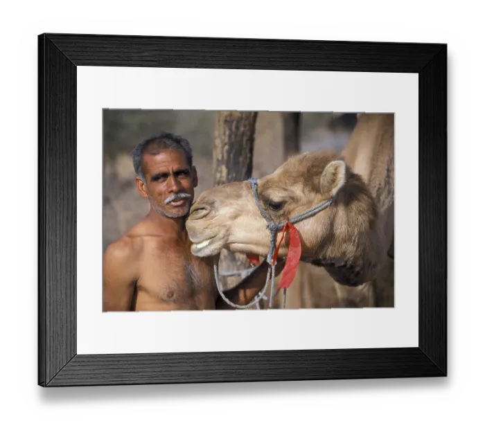 Framed Print : Man with a camel, Katariysar, near Bikaner Framed Print : Man with a camel, Katariysar, near Bikaner