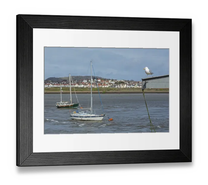 Framed Print : Boats, Seagull, Conwy River, Deganwy