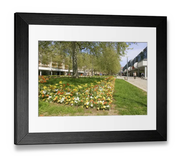 Framed Print : Main street