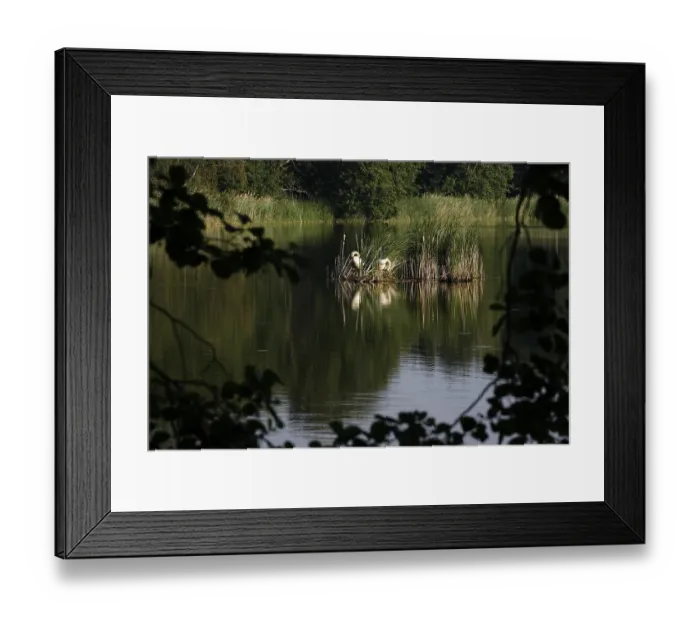 Framed Print : Upper Lusatian Heath and Pond Landscape