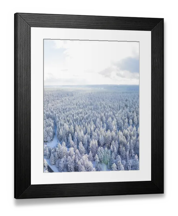 Framed Print : Brightly lit winter forest with snow-covered trees and sunny sky Framed Print : Brightly lit winter forest with snow-covered trees and sunny sky