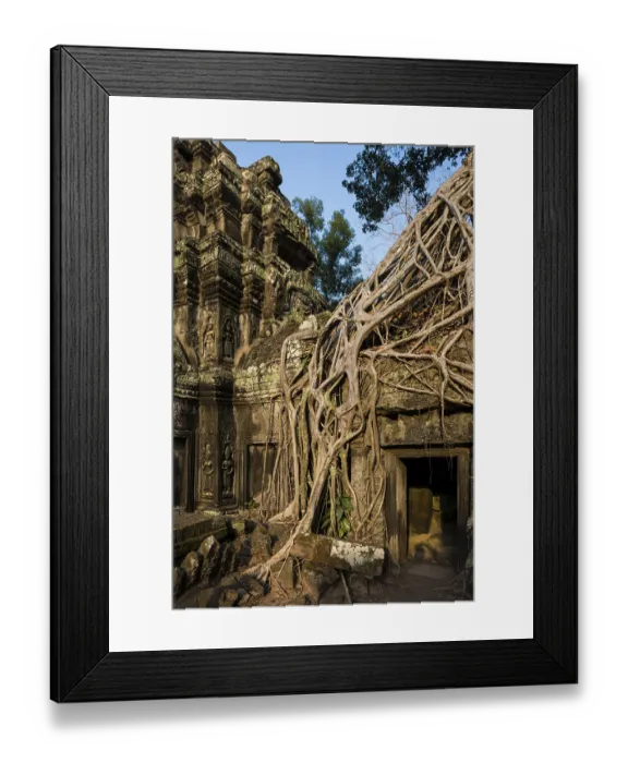 Framed Print : Ta Prohm, Angkor Wat, Angkor, UNESCO World Heritage Site Framed Print : Ta Prohm, Angkor Wat, Angkor, UNESCO World Heritage Site