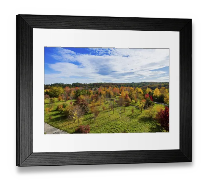 Framed Print : The Forest Botanical Garden Tharandt is an institution of the Technical University of Dresden Framed Print : The Forest Botanical Garden Tharandt is an institution of the Technical University of Dresden
