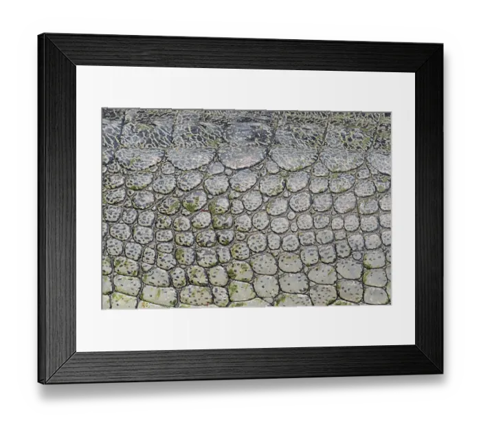 Framed Print : Indian Gharial, Gavial or Fish-eating Crocodile (Gavialis gangeticus) Framed Print : Indian Gharial, Gavial or Fish-eating Crocodile (Gavialis gangeticus)