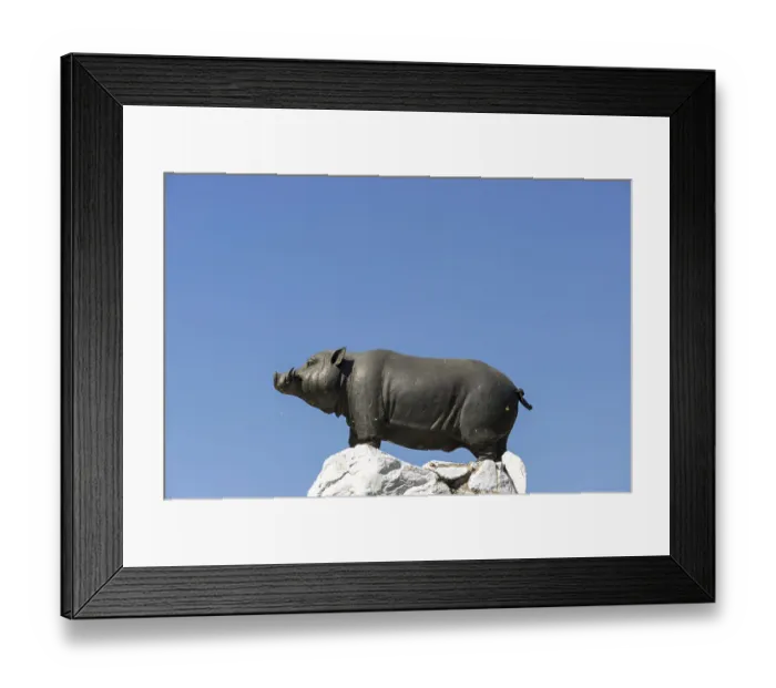 Framed Print : Saha Chat Monument (also: Pig Monument) a monument on Khlong Lot opposite Wat Ratchabophit Framed Print : Saha Chat Monument (also: Pig Monument) a monument on Khlong Lot opposite Wat Ratchabophit