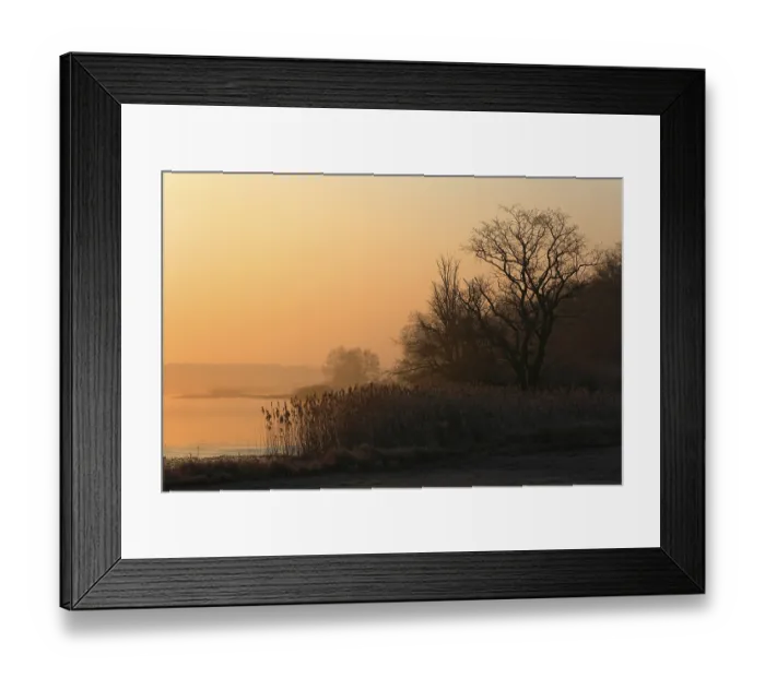 Framed Print : Morning atmosphere in riverside forest