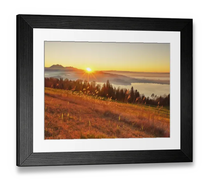 Framed Print : High moor at Zugerberg at sunset Framed Print : High moor at Zugerberg at sunset