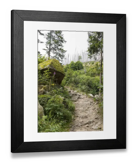 Framed Print : Hiking trail along the Ilse in the Ilse valley