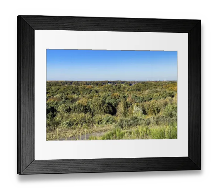 Framed Print : View from greened former slag heap Schoettelbeck of coal mining on forest area in autumn autumnal mixed forest Framed Print : View from greened former slag heap Schoettelbeck of coal mining on forest area in autumn autumnal mixed forest