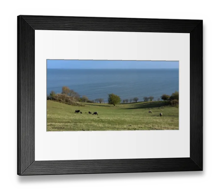 Framed Print : Forest and landscape on the coast of Ruegen Framed Print : Forest and landscape on the coast of Ruegen