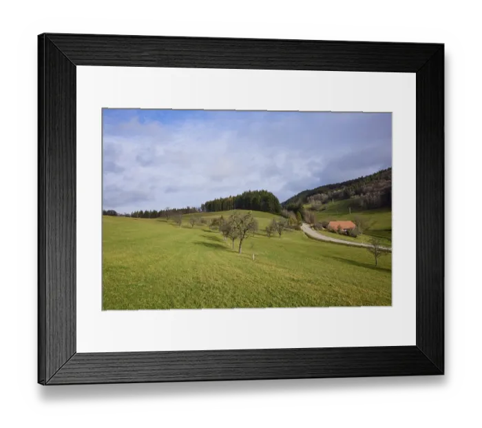 Framed Print : Landscape with meadow, bare trees Framed Print : Landscape with meadow, bare trees