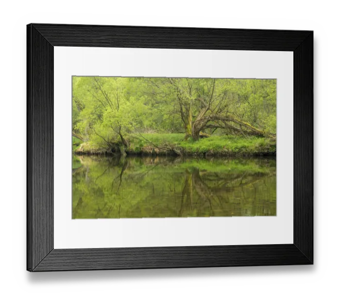 Framed Print : River Thaya, Thayatal National Park