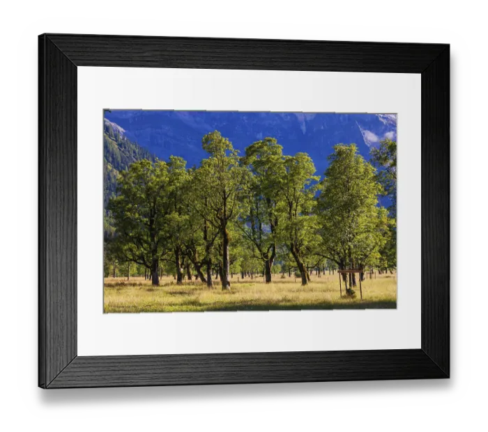 Framed Print : Nature conservancy area Grosser Ahornboden