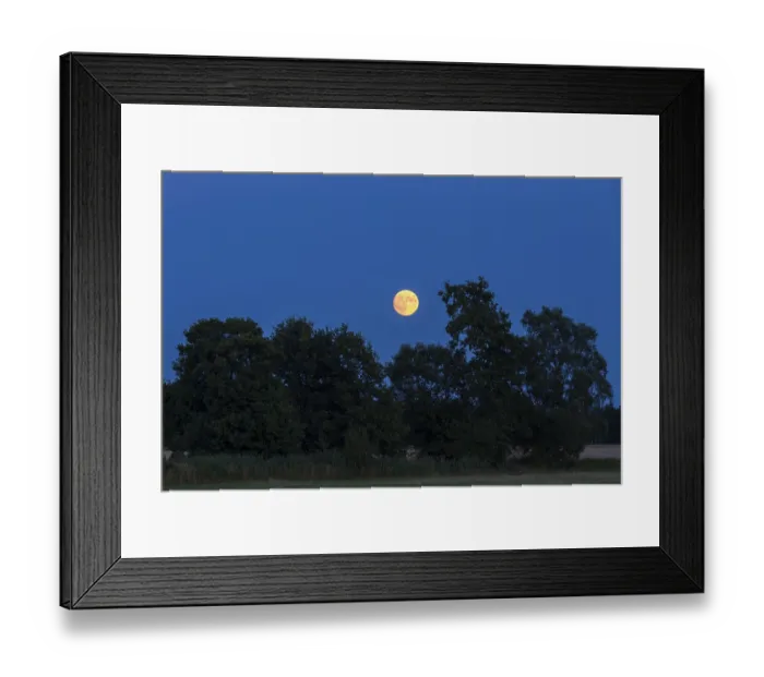 Framed Print : The full moon rises behind trees