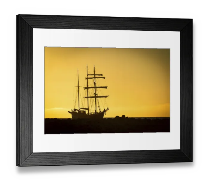 Framed Print : Barquentine Antigua at sunset, Kobbefjord Framed Print : Barquentine Antigua at sunset, Kobbefjord