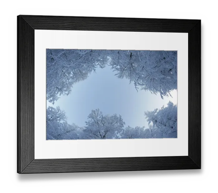 Framed Print : Winter forest, Harz, Germany, Europe