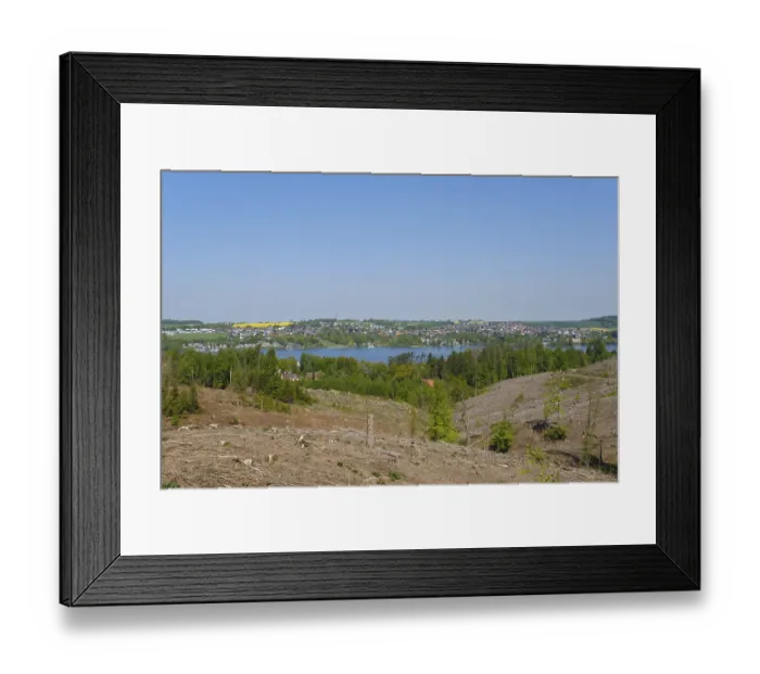 Framed Print : Deforested spruce forest, Arnsberg Forest nature Park