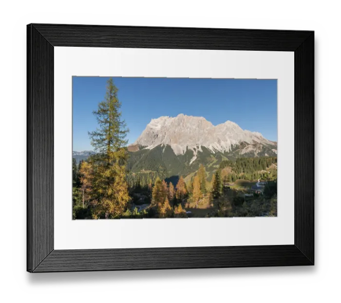 Framed Print : View of the Zugspitze, autumn colouring with yellow larches Framed Print : View of the Zugspitze, autumn colouring with yellow larches