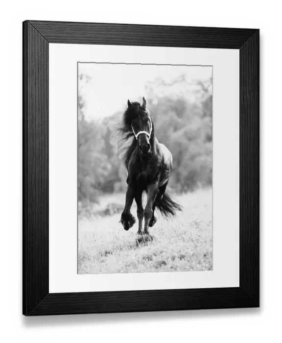 Framed Print : friezes Framed Print : friezes