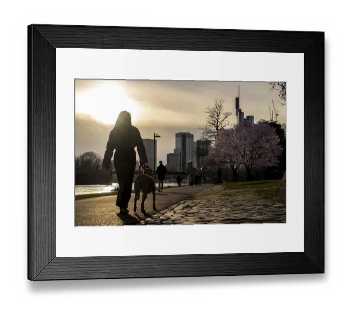 Framed Print : Bank of the Main in Frankfurt, Spring
