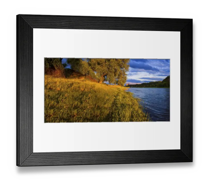 Framed Print : Meissener Scherenschnitt Framed Print : Meissener Scherenschnitt