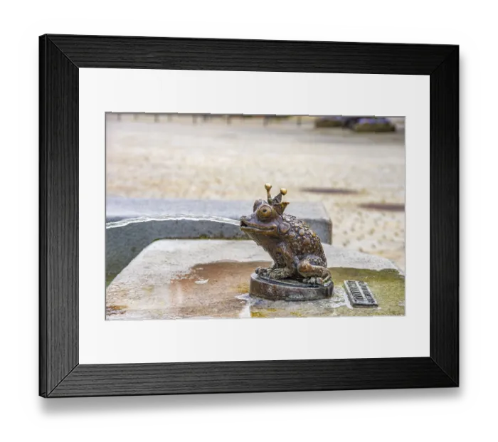 Framed Print : Frog King, bronze figure at the Theodul Fountain on the market square in Ehingen an der Donau Framed Print : Frog King, bronze figure at the Theodul Fountain on the market square in Ehingen an der Donau