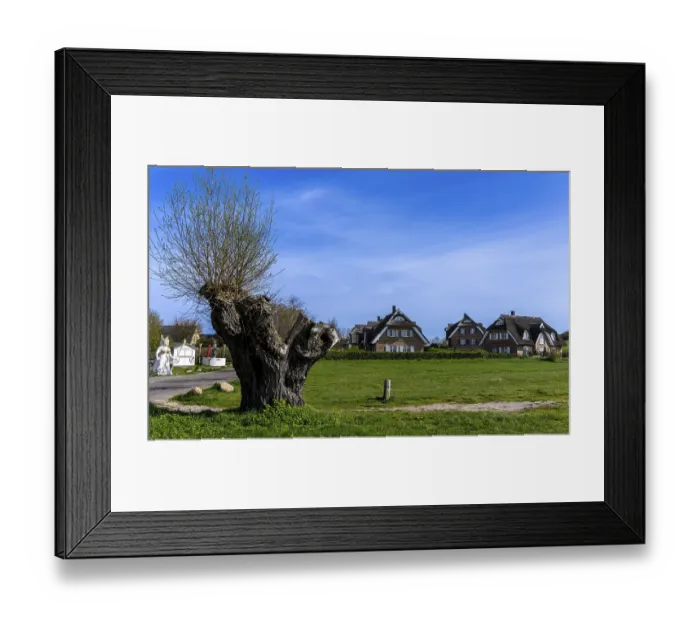 Framed Print : Holiday home development on the Baltic Sea beach Framed Print : Holiday home development on the Baltic Sea beach