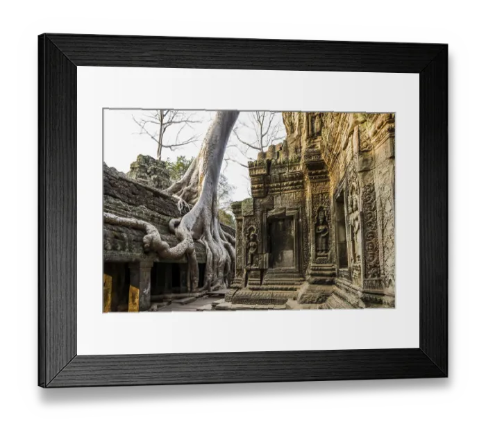 Framed Print : Ta Prohm, Angkor Wat, Angkor, UNESCO World Heritage Site
