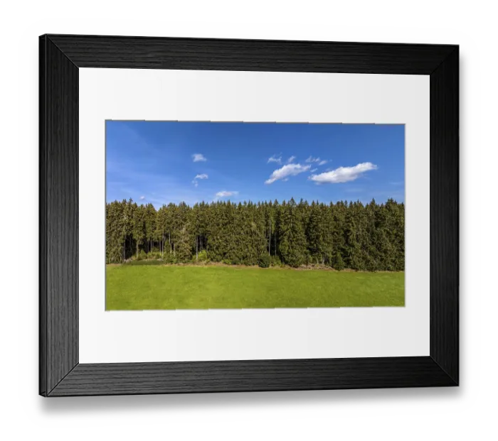 Framed Print : Coniferous forest with sky and clouds Framed Print : Coniferous forest with sky and clouds