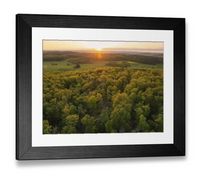 Framed Print : A wide forest area at sunset, the trees glow in autumnal colours