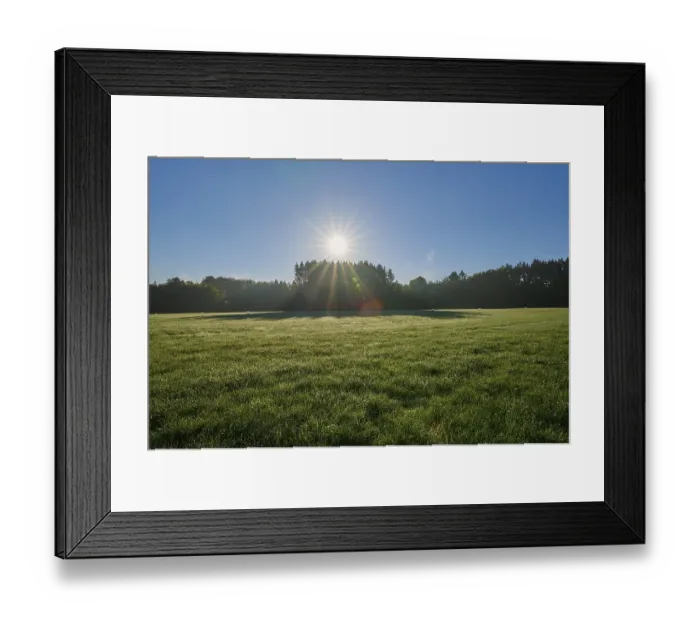 Framed Print : Meadow landscape, forest, sky, sunrise