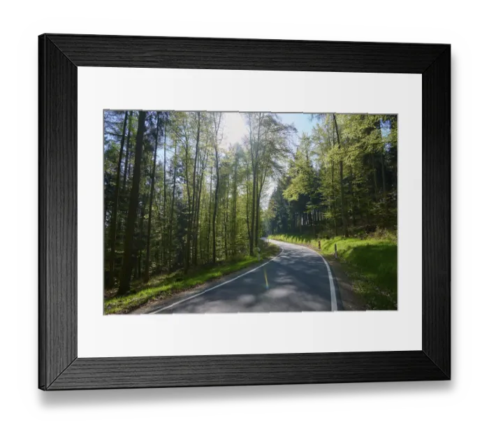 Framed Print : Road, Curvy, Beech forest, Coniferous forest Framed Print : Road, Curvy, Beech forest, Coniferous forest