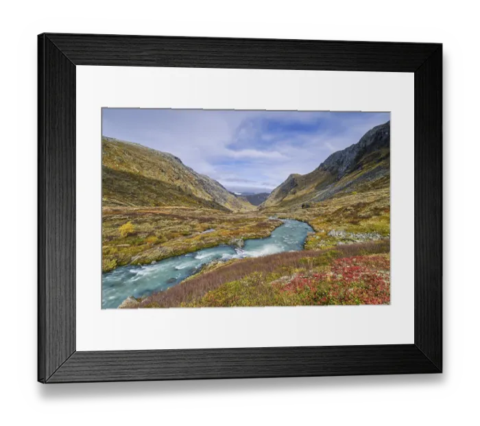 Framed Print : Autumn in Sognefjellet, Jotunheimen National Park Framed Print : Autumn in Sognefjellet, Jotunheimen National Park