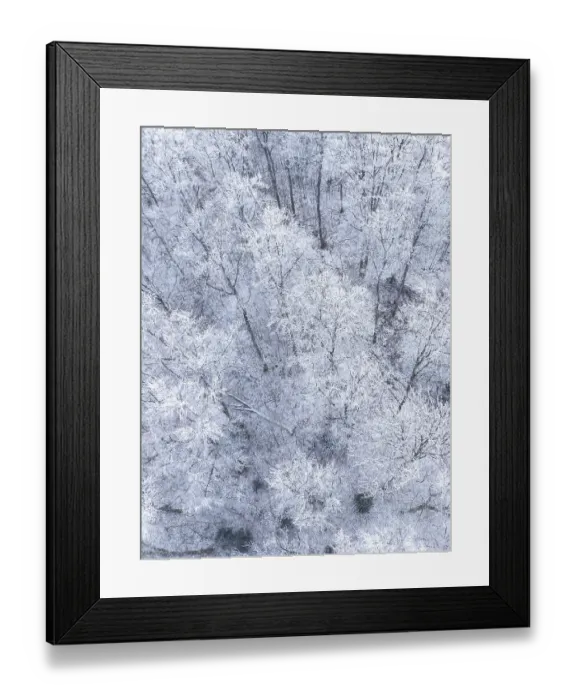 Framed Print : Bird's eye view of a frosty forest full of snow-covered trees