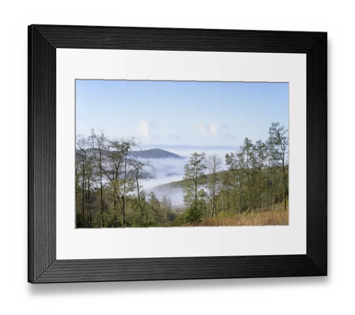 Framed Print : View over autumnal mixed forest and mountain heights as fog rolls Framed Print : View over autumnal mixed forest and mountain heights as fog rolls