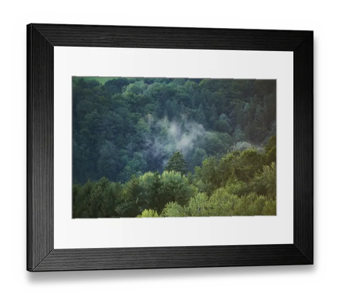 Framed Print : Wafts of fog above a forest at sunset Framed Print : Wafts of fog above a forest at sunset
