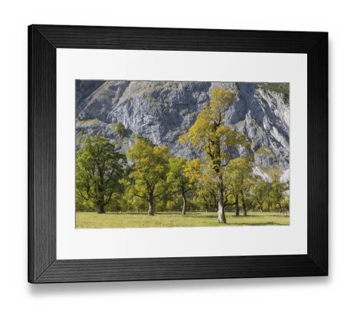 Framed Print : Nature conservancy area Grosser Ahornboden Framed Print : Nature conservancy area Grosser Ahornboden