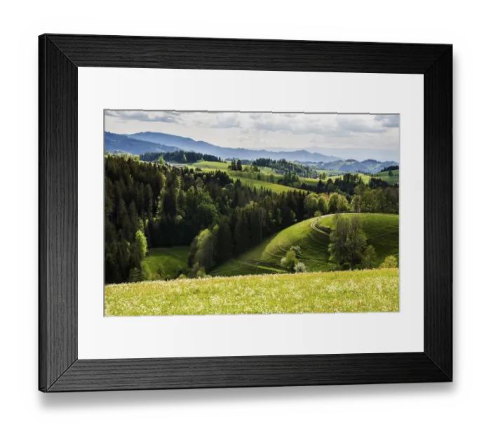 Framed Print : Flowering meadow and mountains Framed Print : Flowering meadow and mountains