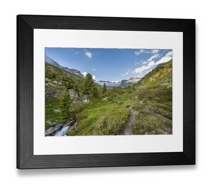 Framed Print : Mountain landscape with alpine roses and mountain stream Zemmbach