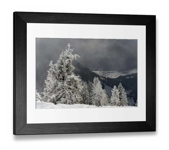 Framed Print : Snow-covered mountain landscape with trees in winter during snowfall Framed Print : Snow-covered mountain landscape with trees in winter during snowfall