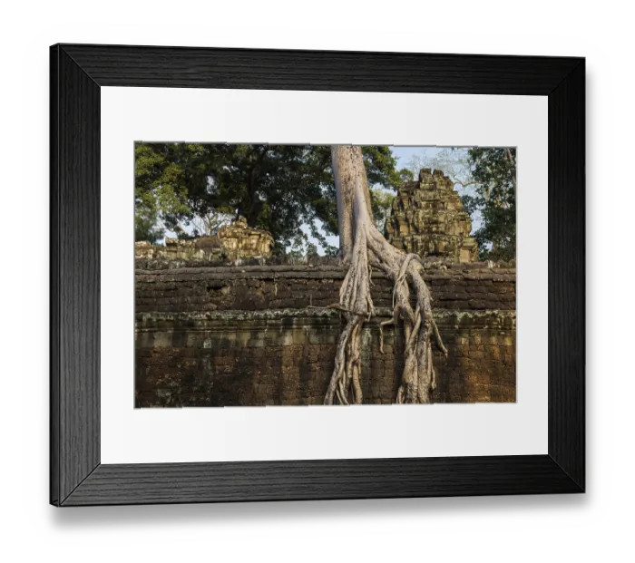 Framed Print : Ta Prohm, Angkor Wat, Angkor, UNESCO World Heritage Site