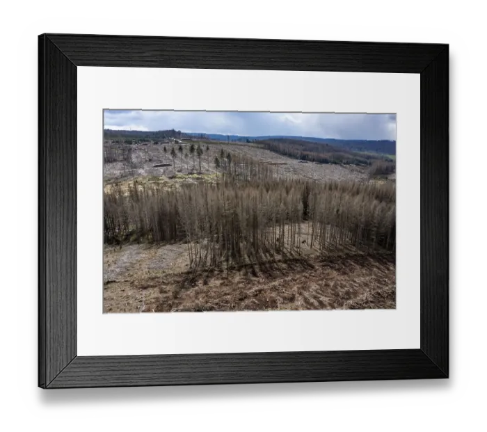 Framed Print : Area in the Arnsberg Forest near Warstein-Sichtigvor