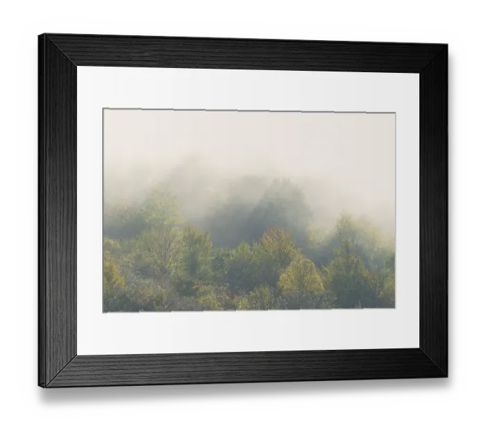 Framed Print : Deciduous forest in autumn, sunbeams penetrate the rising fog