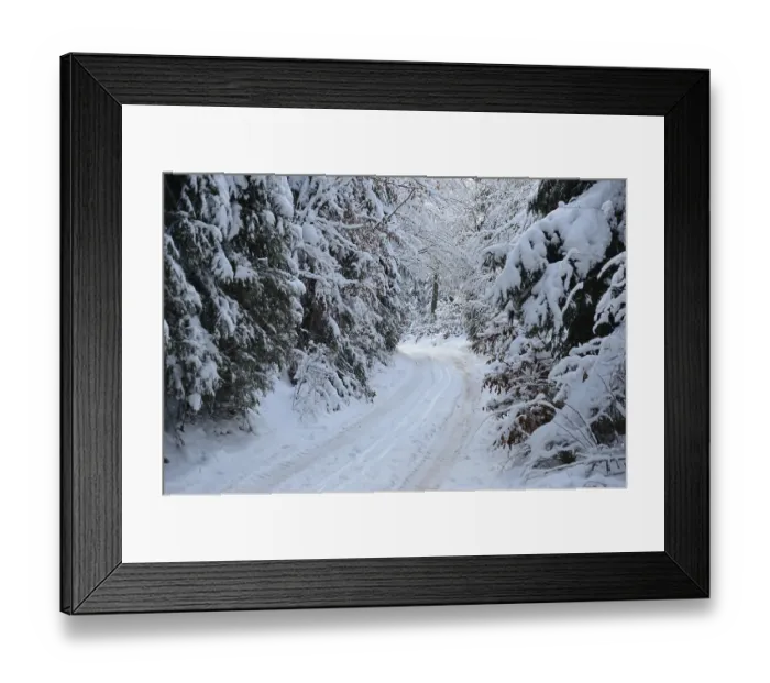 Framed Print : A snow-covered path winding through a dense