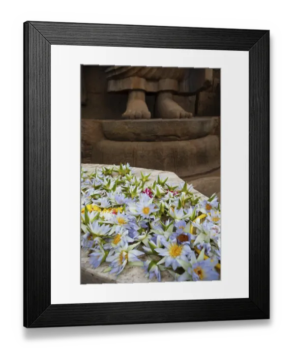 Framed Print : Lotus blossoms as offerings, behind the feet of the Avukana Buddha statue