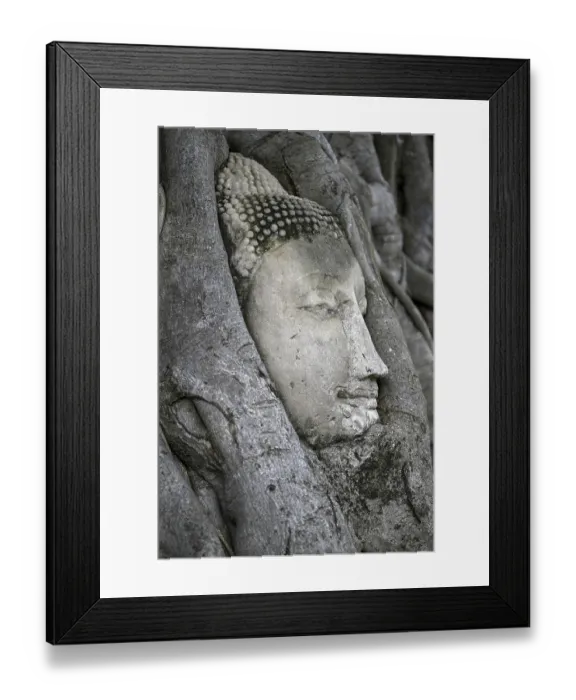 Framed Print : Sandstone Buddha head at the foot of a Bodhi tree in Wat Mahathat