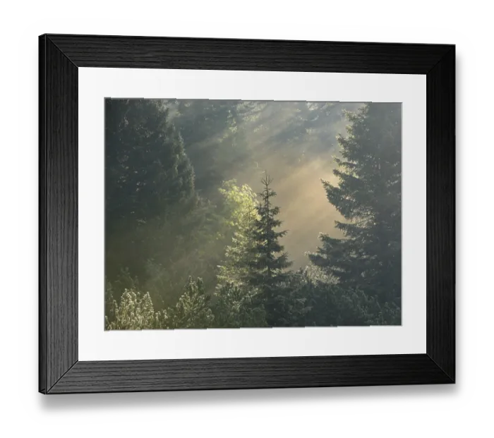 Framed Print : Morning misty mood, Gloggnitzerhuette