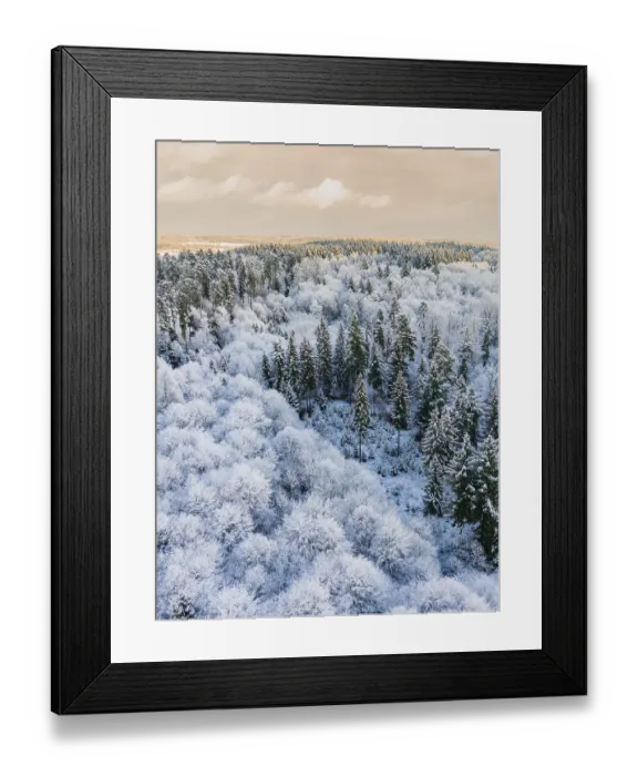 Framed Print : Winter forest landscape with snow-covered trees and cloudy sky